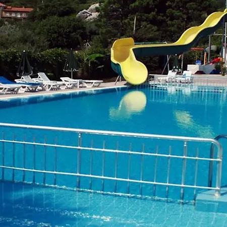 Verano 2*